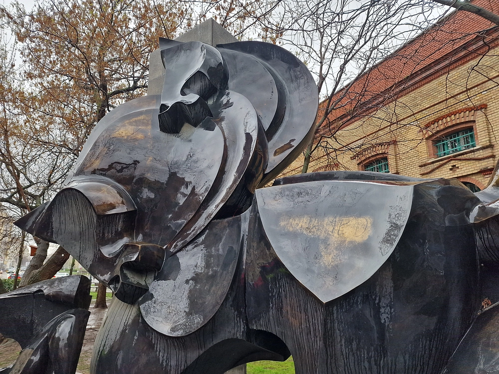 Slika je vidna v Google Chromu.