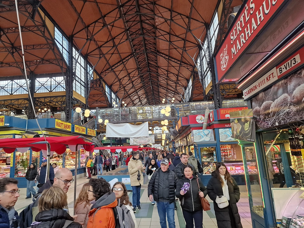 Slika je vidna v Google Chromu.