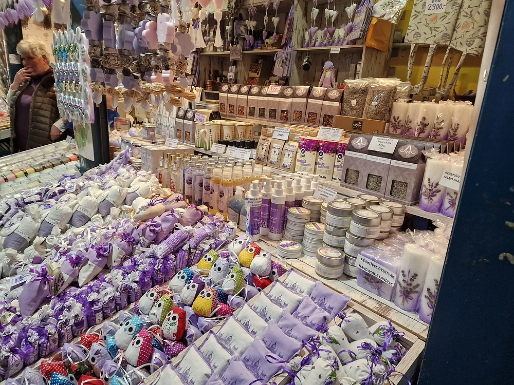 Slika je vidna v Google Chromu.