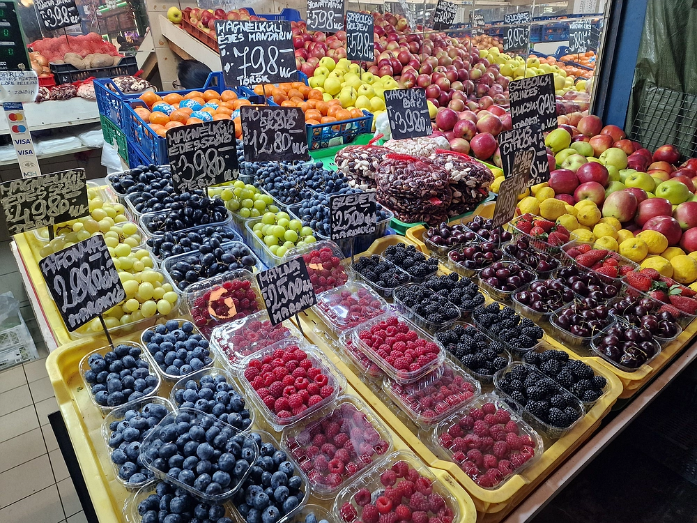 Slika je vidna v Google Chromu.