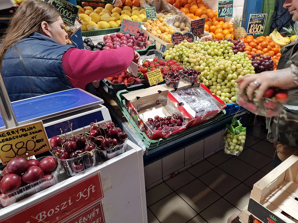 Slika je vidna v Google Chromu.