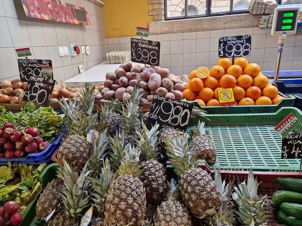 Slika je vidna v Google Chromu.