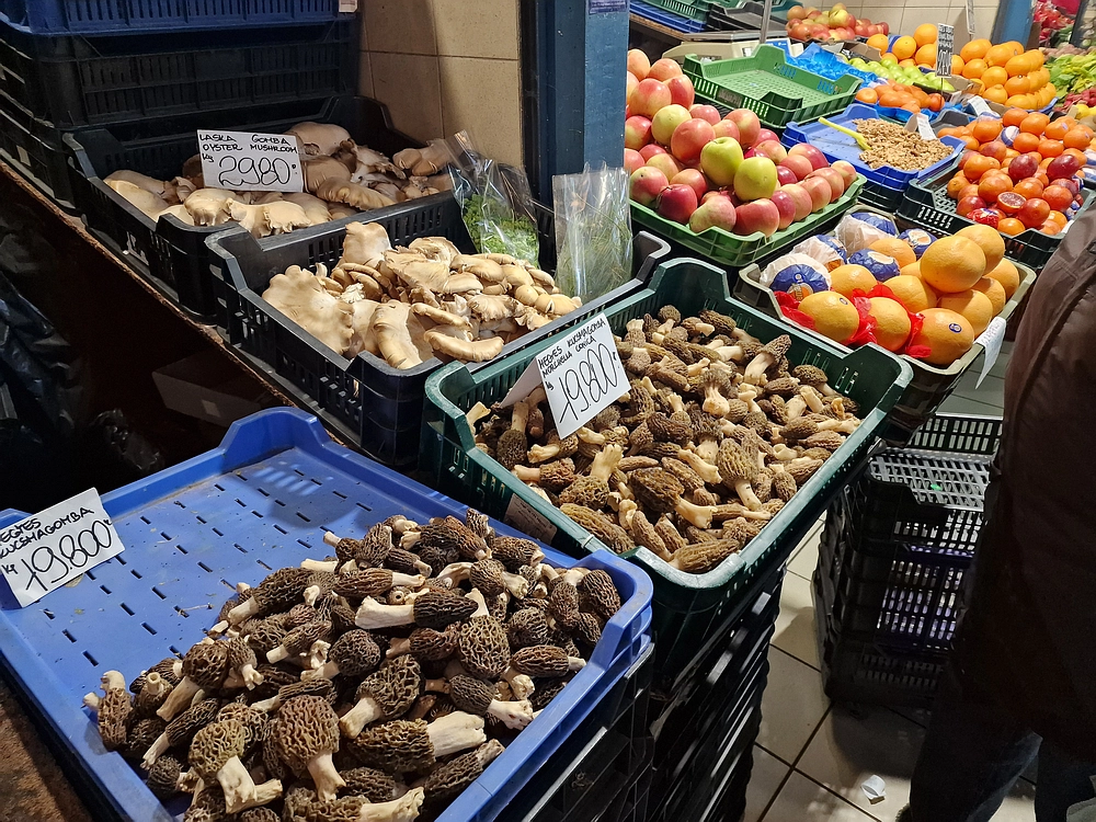 Slika je vidna v Google Chromu.