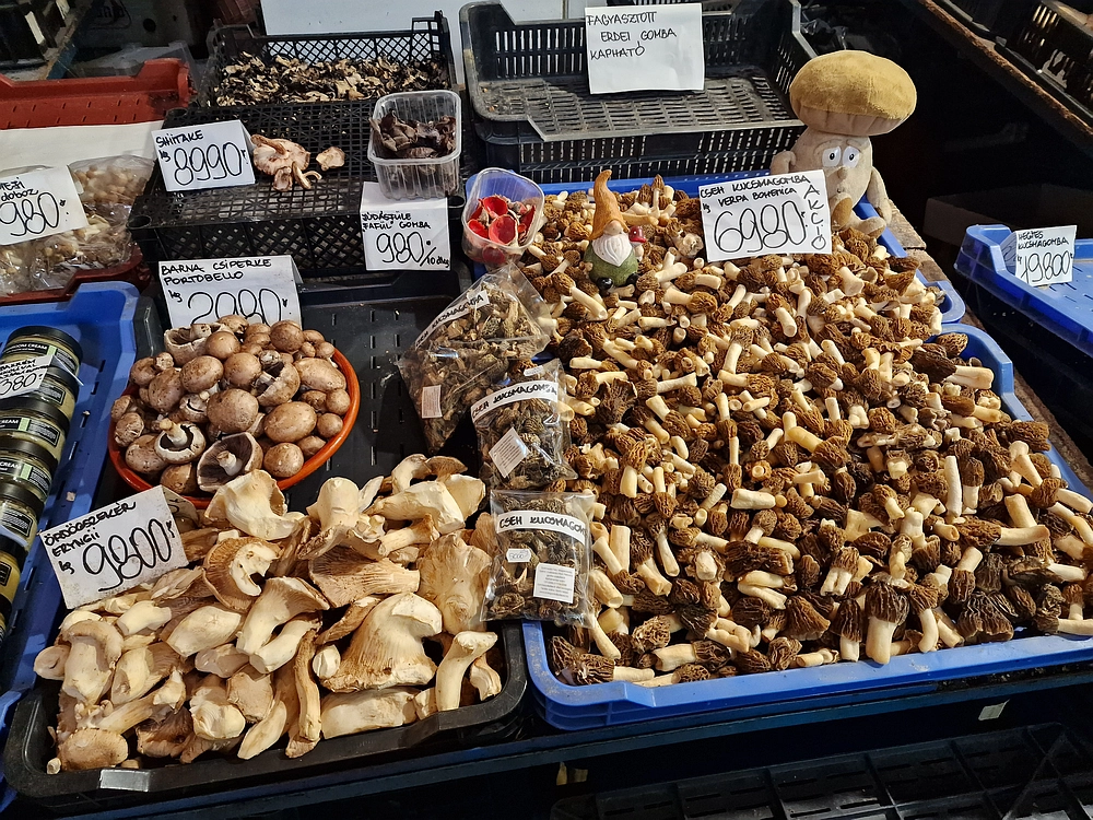 Slika je vidna v Google Chromu.