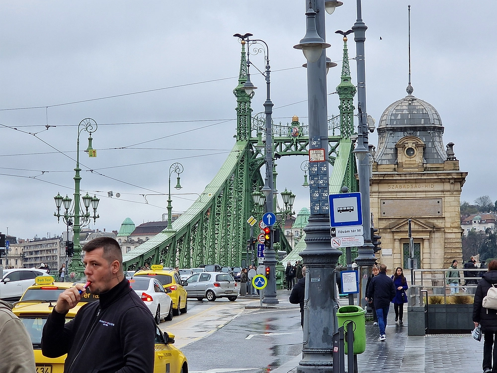 Slika je vidna v Google Chromu.