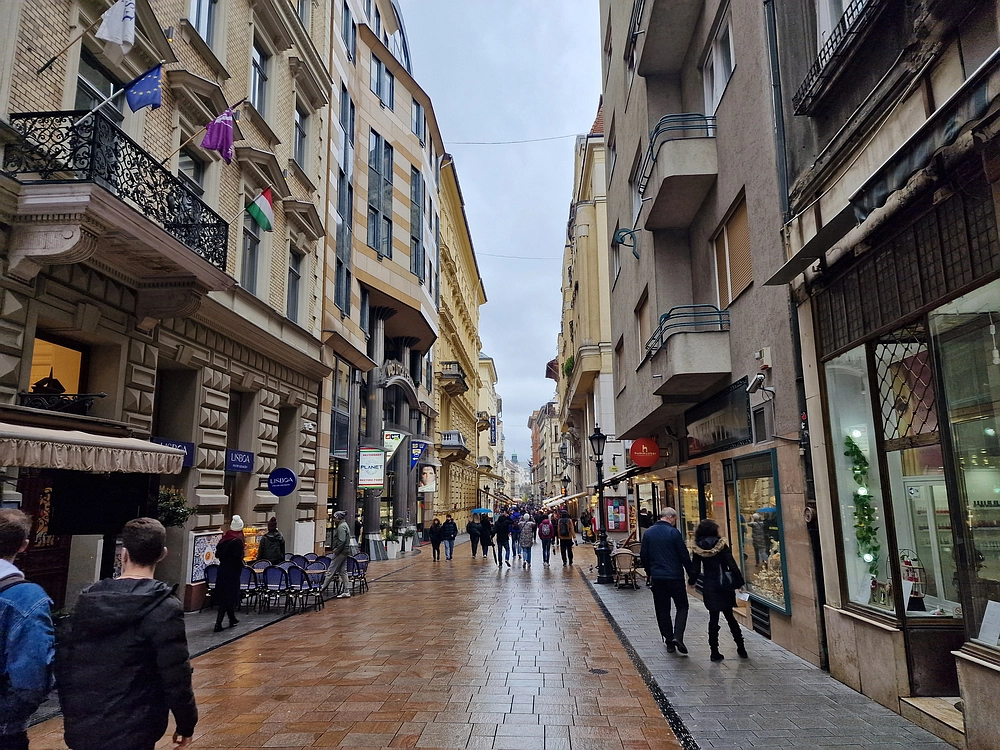 Slika je vidna v Google Chromu.