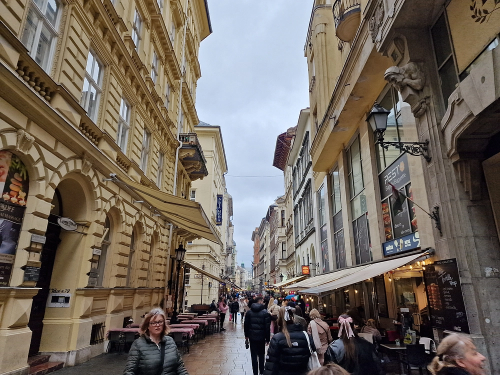 Slika je vidna v Google Chromu.