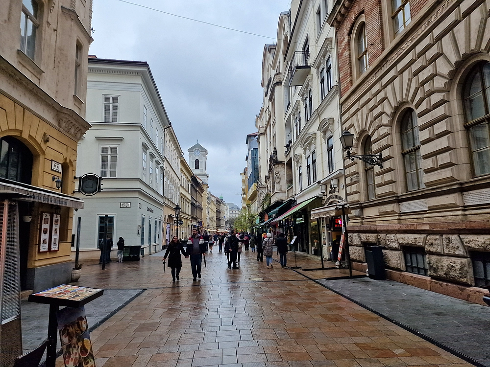 Slika je vidna v Google Chromu.