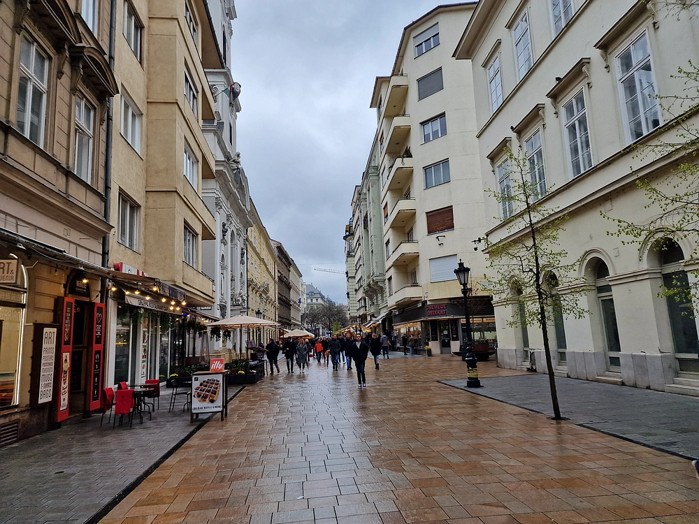 Slika je vidna v Google Chromu.