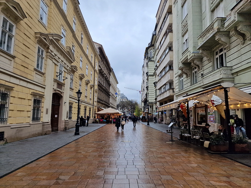 Slika je vidna v Google Chromu.