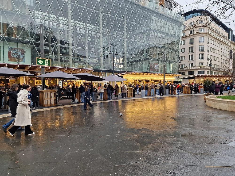 Slika je vidna v Google Chromu.