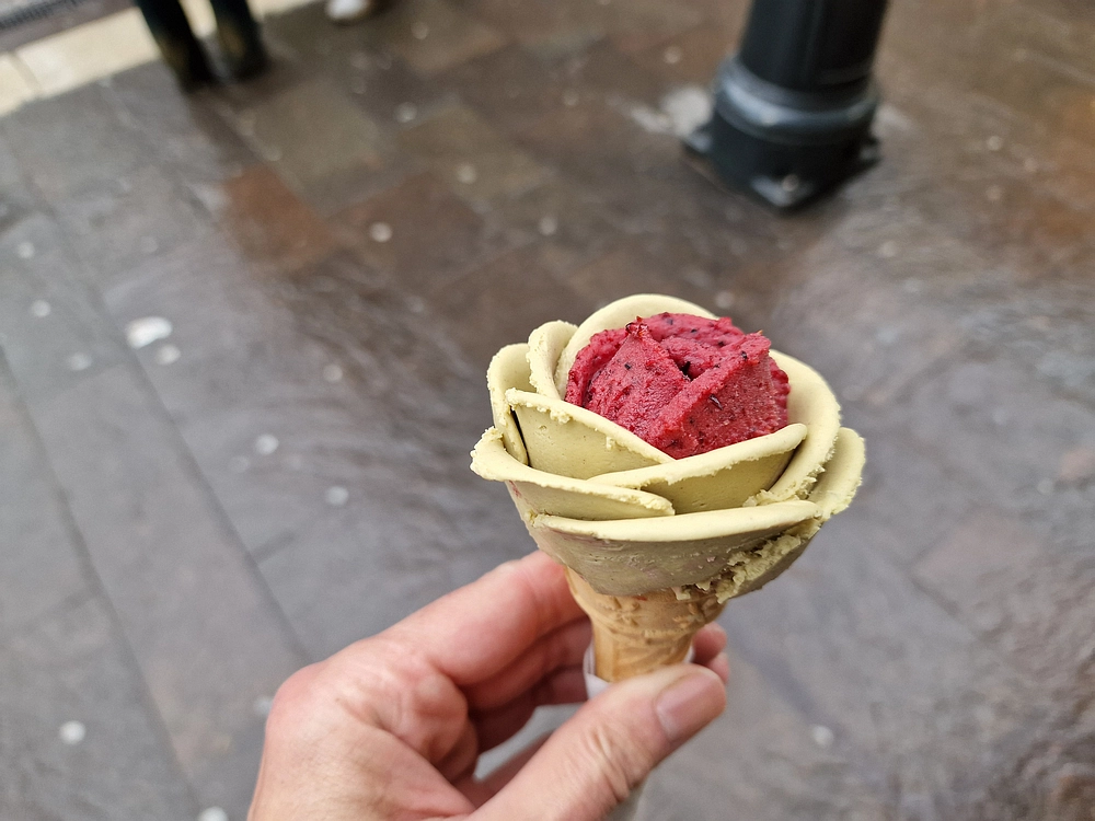 Slika je vidna v Google Chromu.