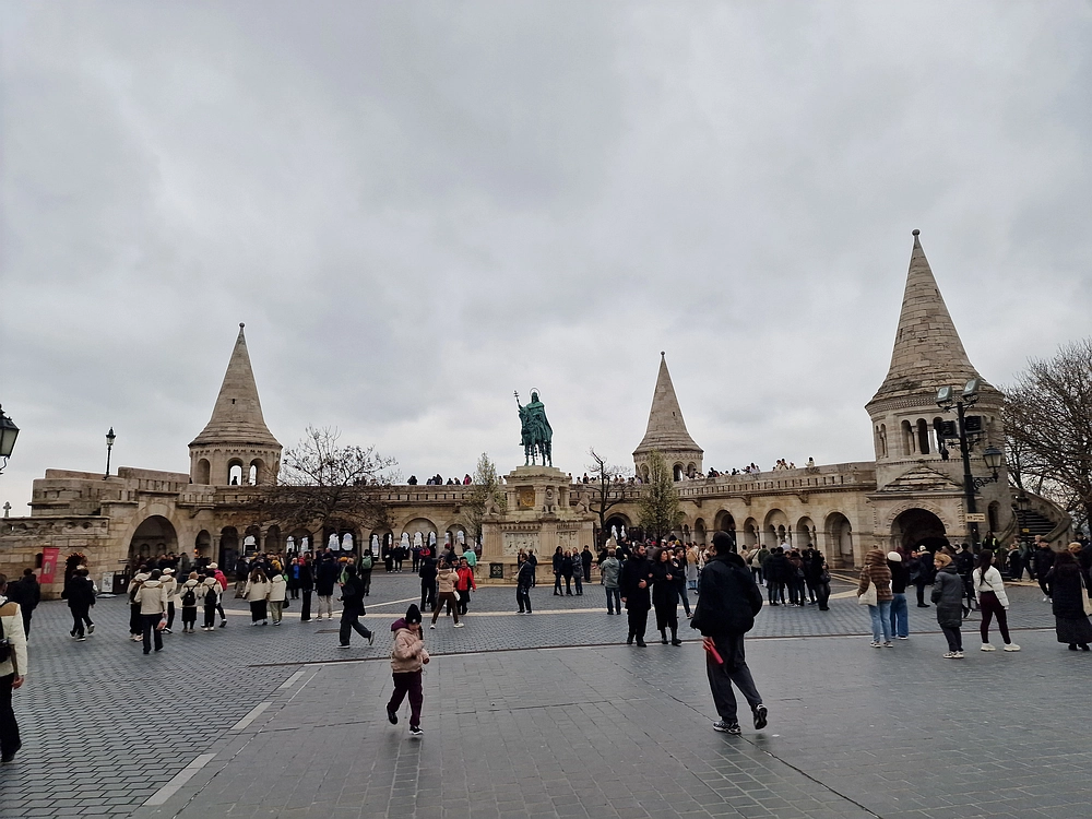 Slika je vidna v Google Chromu.