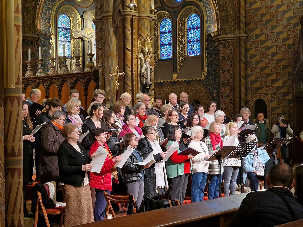 Slika je vidna v Google Chromu.