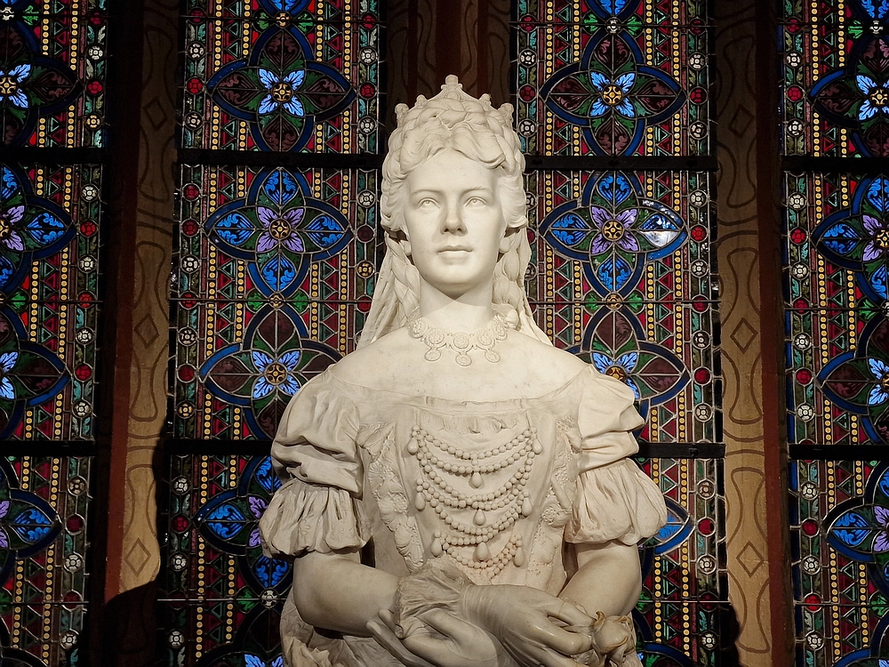 Slika je vidna v Google Chromu.