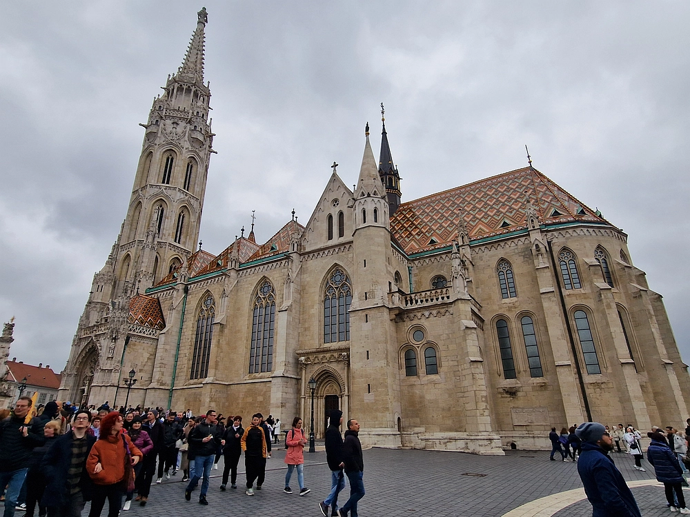 Slika je vidna v Google Chromu.