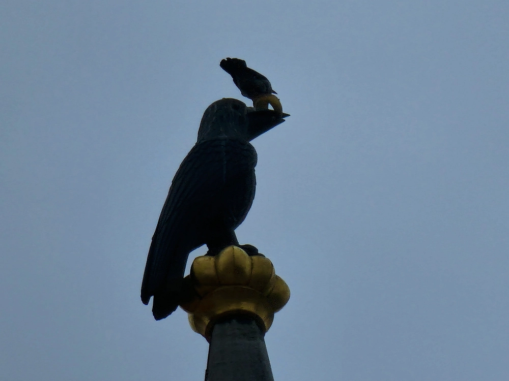 Slika je vidna v Google Chromu.