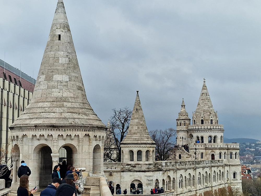 Slika je vidna v Google Chromu.