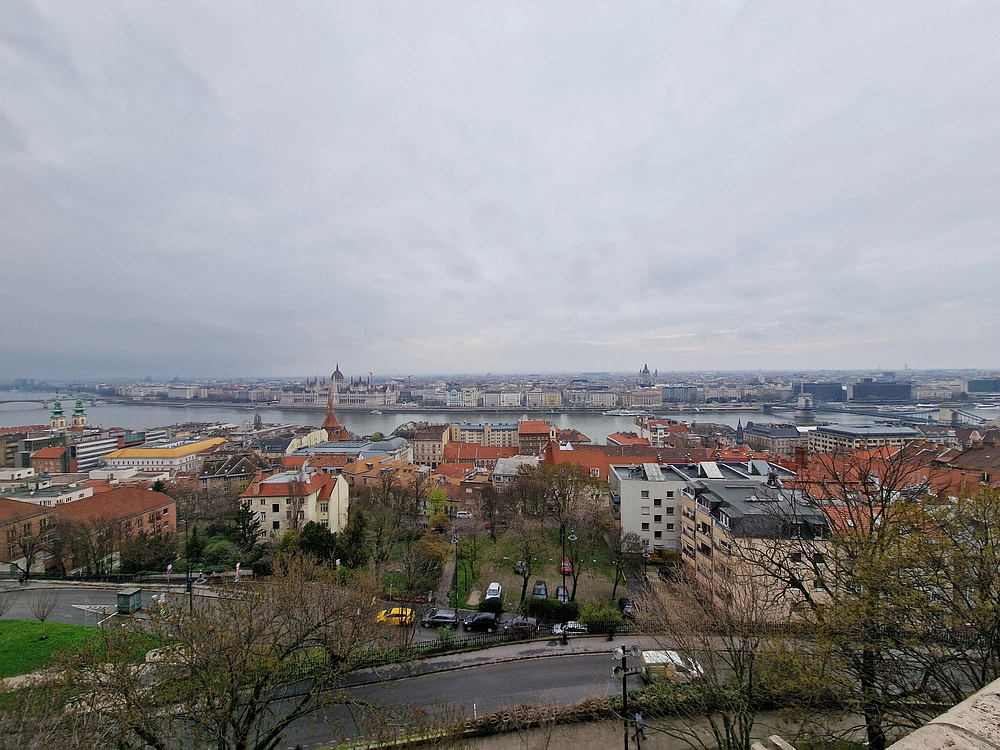 Slika je vidna v Google Chromu.