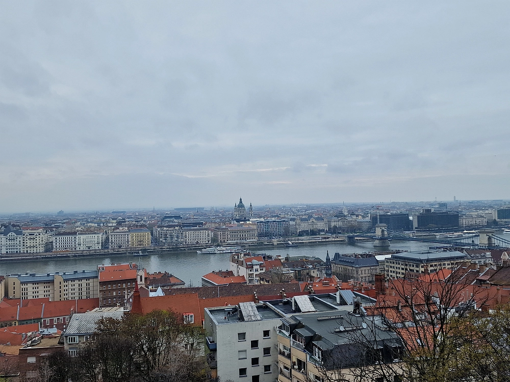 Slika je vidna v Google Chromu.