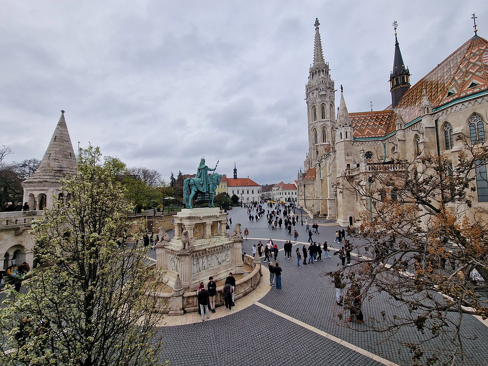 Slika je vidna v Google Chromu.
