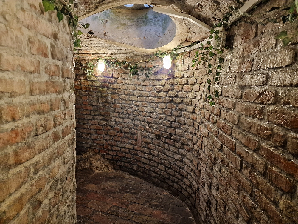 Slika je vidna v Google Chromu.