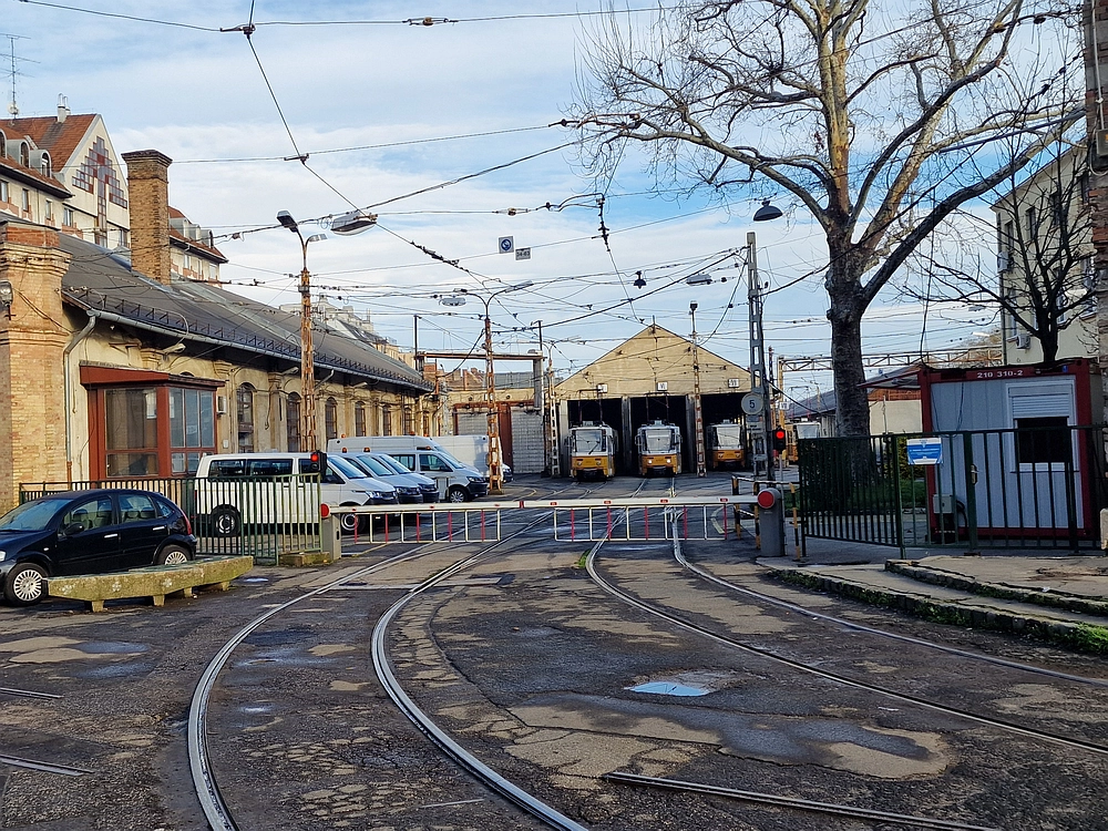 Slika je vidna v Google Chromu.