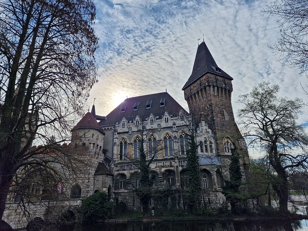 Slika je vidna v Google Chromu.