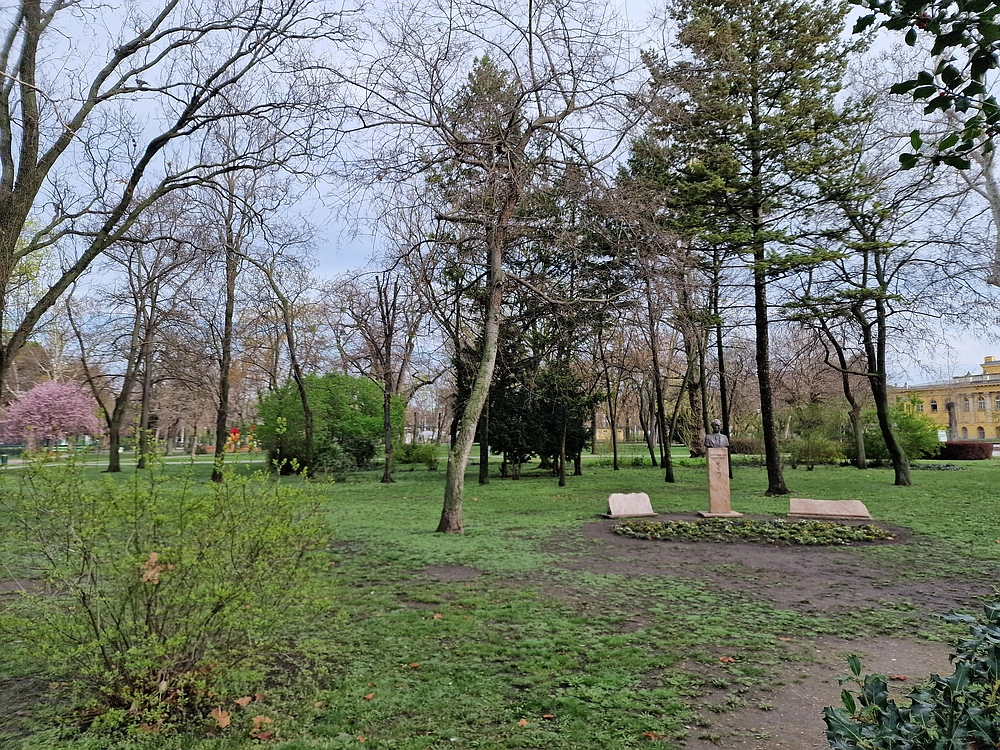 Slika je vidna v Google Chromu.