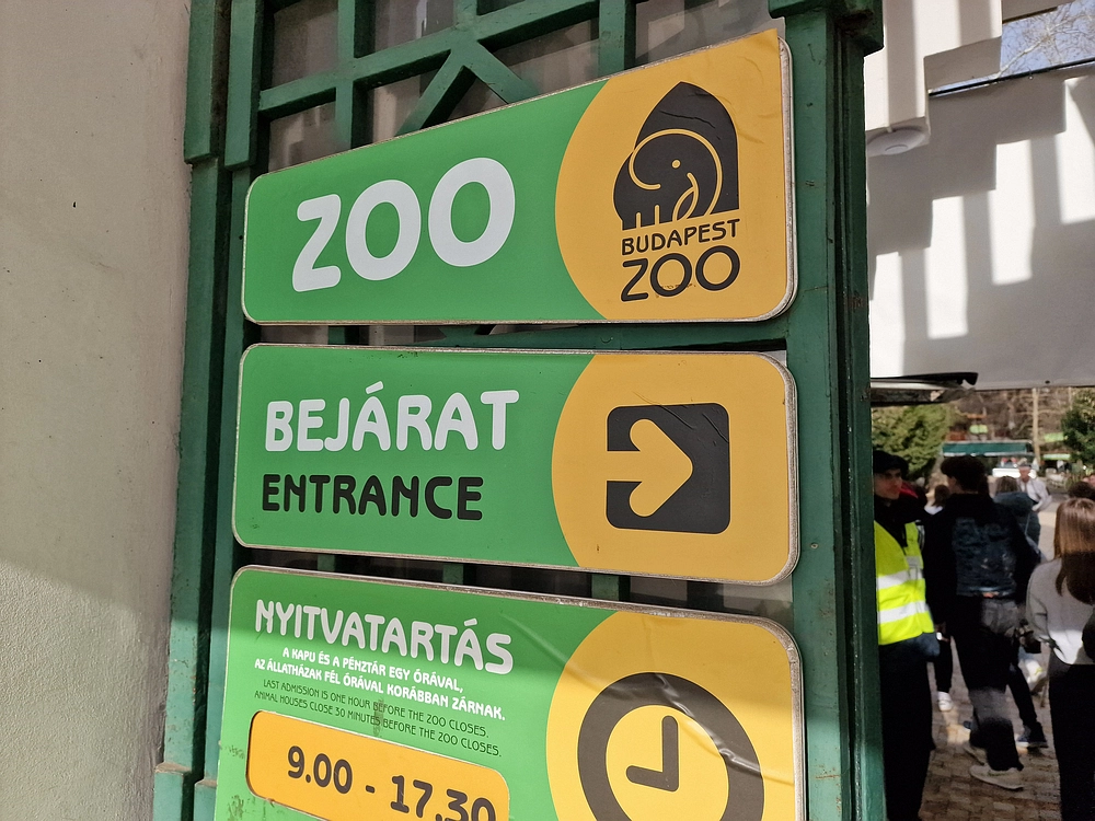 Slika je vidna v Google Chromu.