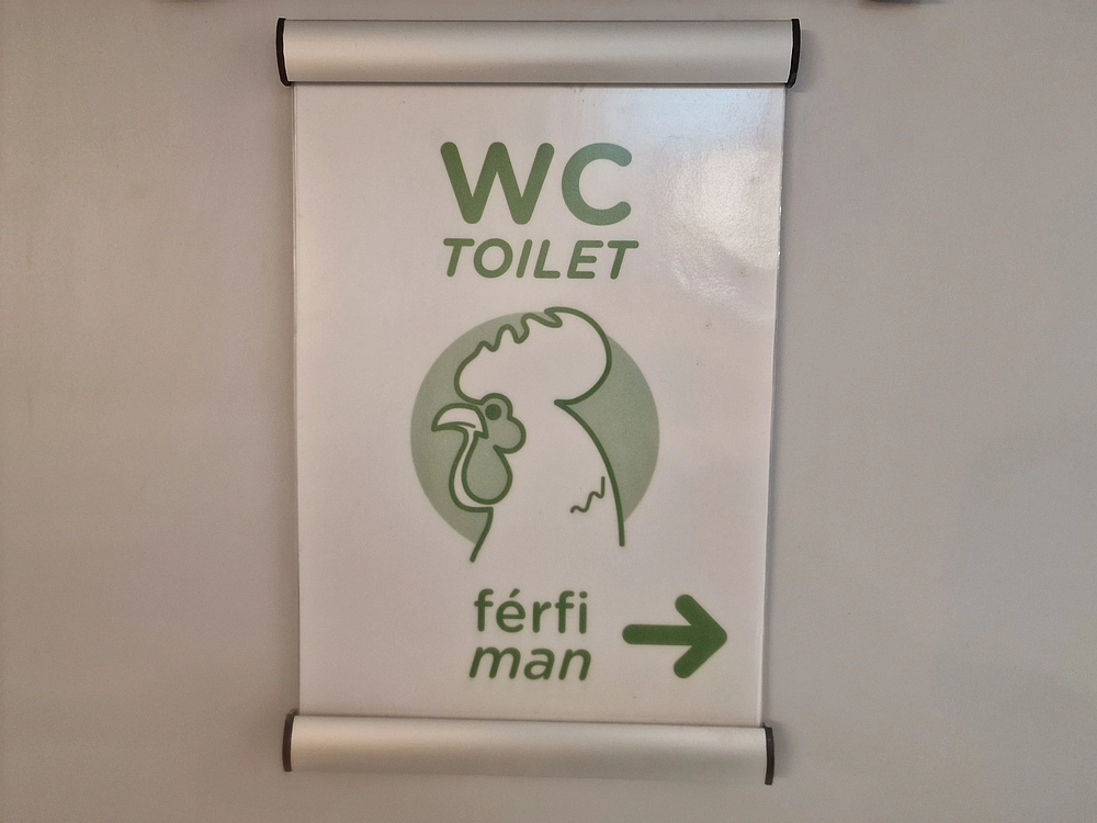 Slika je vidna v Google Chromu.