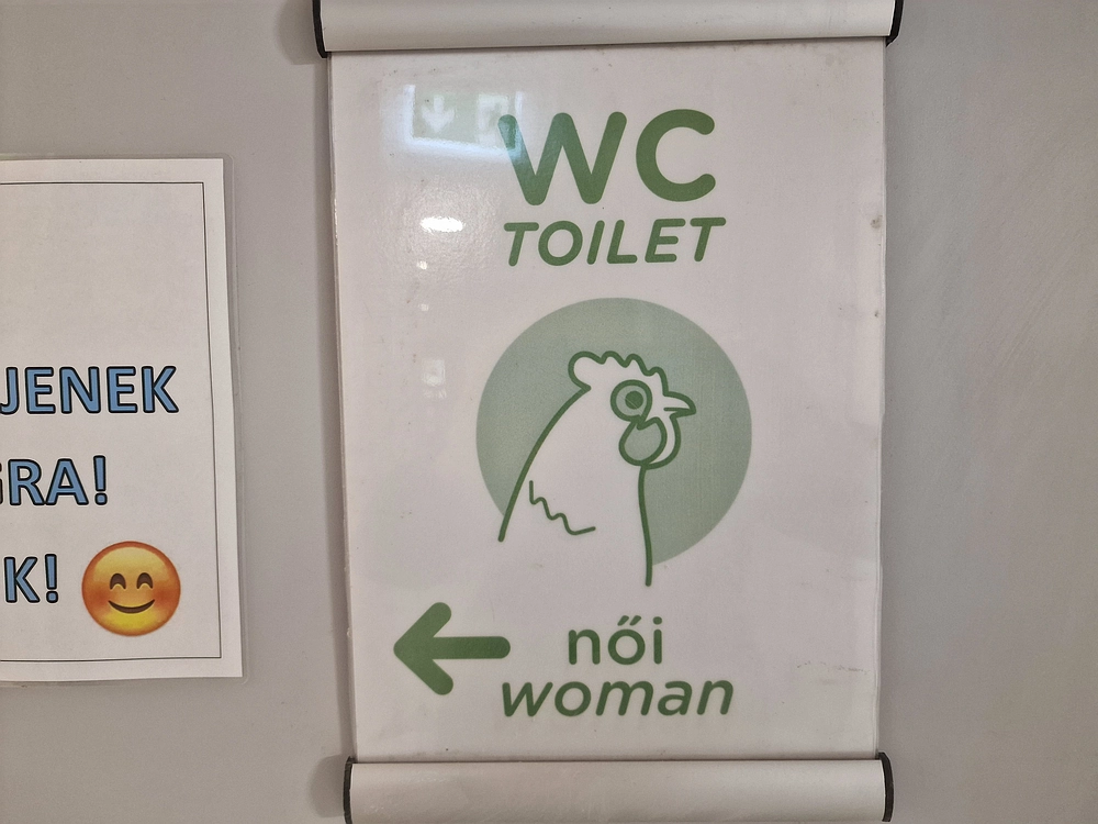 Slika je vidna v Google Chromu.