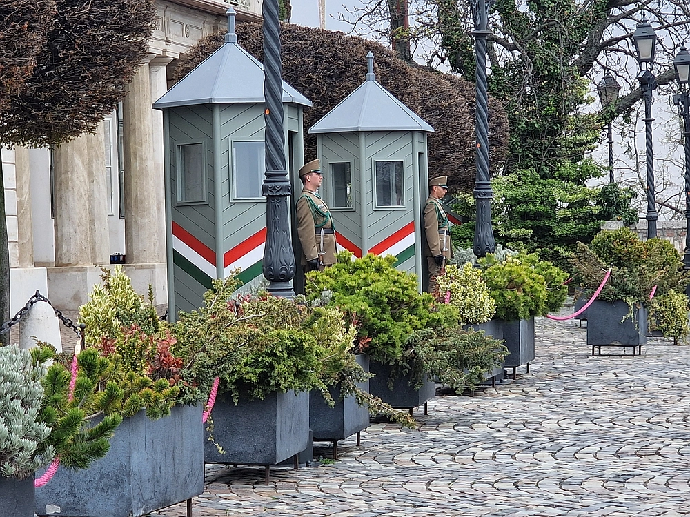 Slika je vidna v Google Chromu.