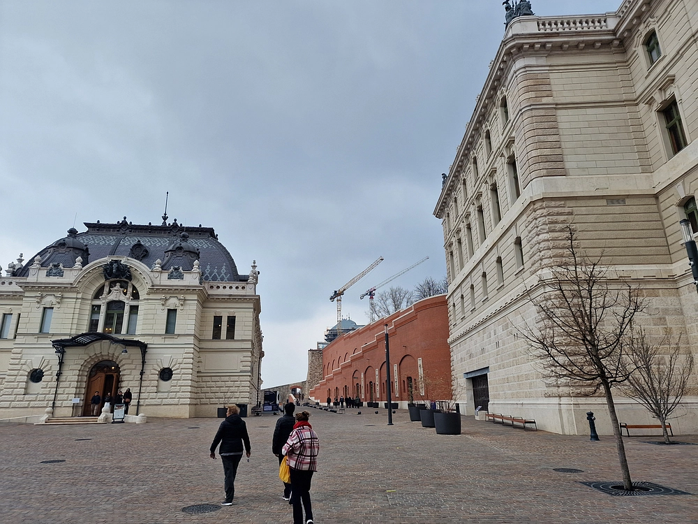 Slika je vidna v Google Chromu.