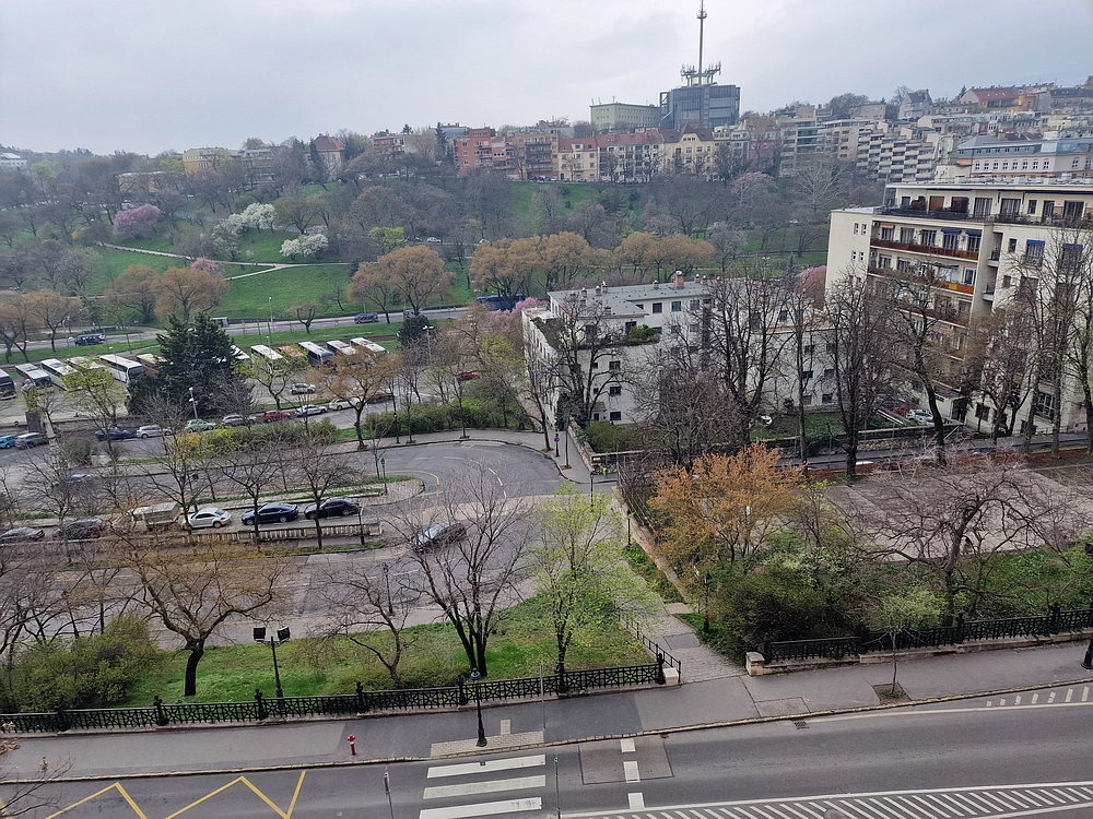 Slika je vidna v Google Chromu.