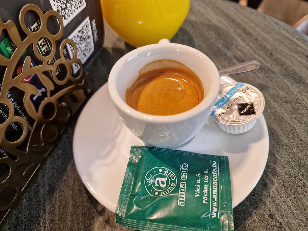 Slika je vidna v Google Chromu.