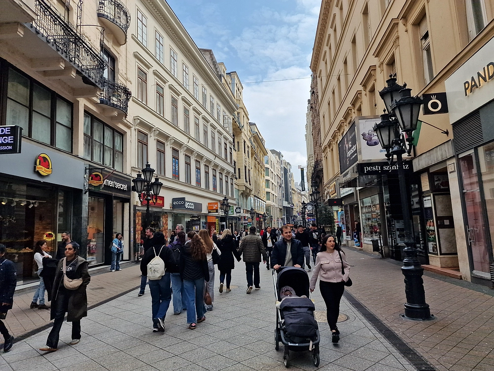 Slika je vidna v Google Chromu.