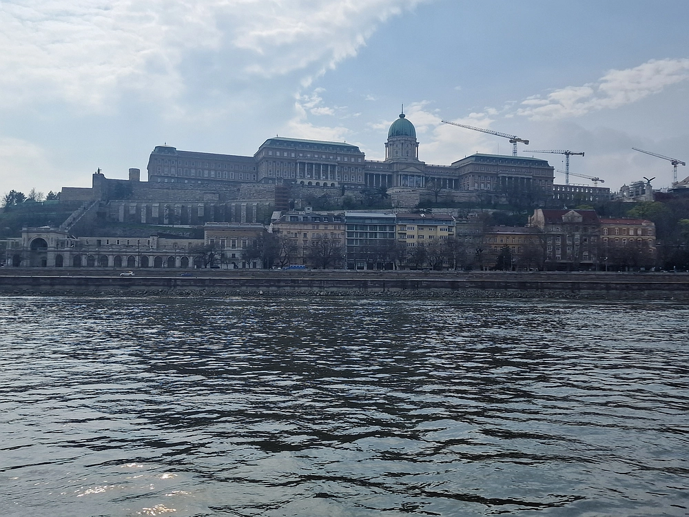 Slika je vidna v Google Chromu.