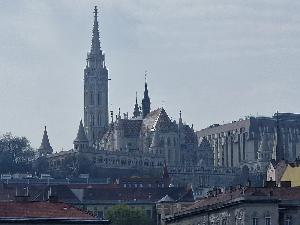 Slika je vidna v Google Chromu.