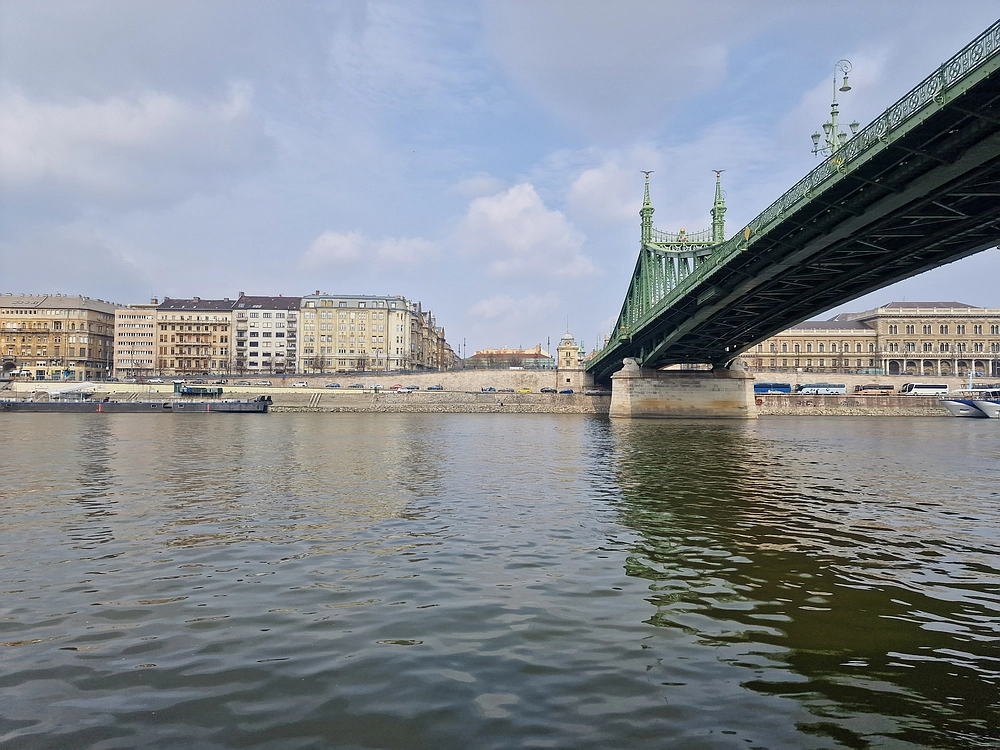 Slika je vidna v Google Chromu.