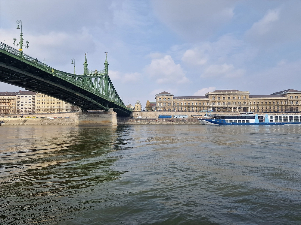 Slika je vidna v Google Chromu.