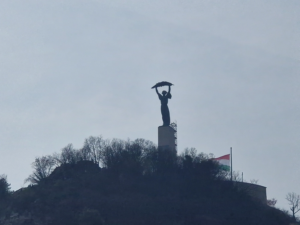 Slika je vidna v Google Chromu.