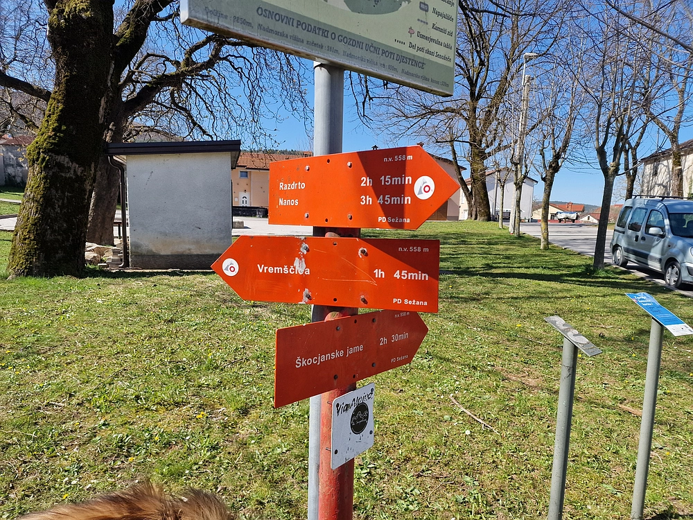 Slika je vidna v Google Chromu.