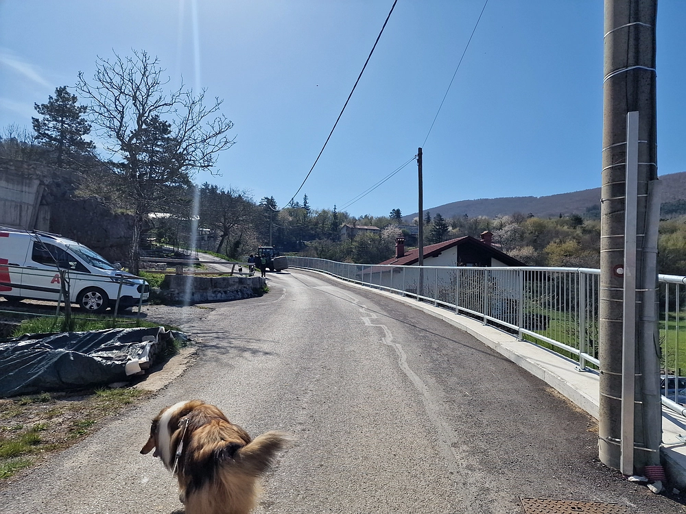 Slika je vidna v Google Chromu.