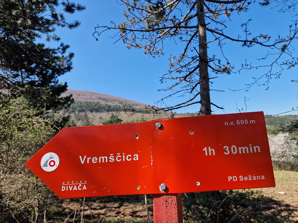 Slika je vidna v Google Chromu.