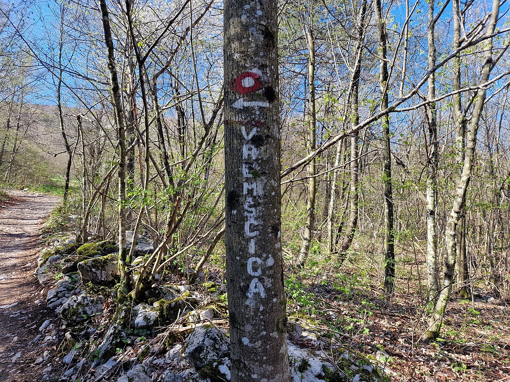 Slika je vidna v Google Chromu.
