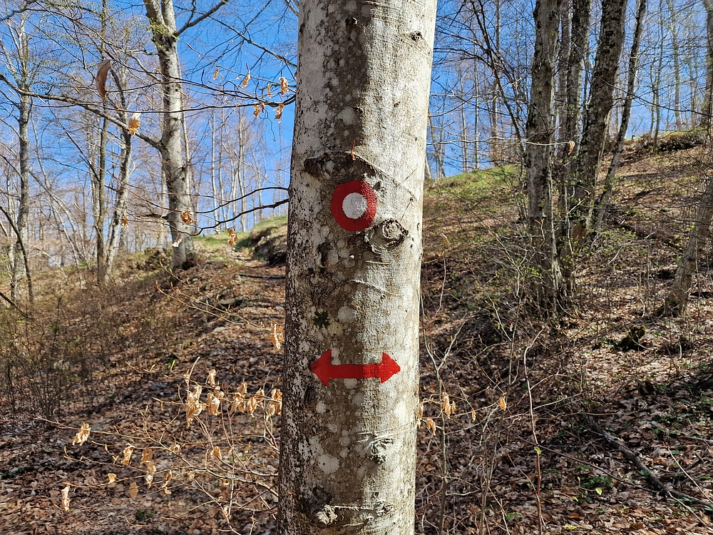 Slika je vidna v Google Chromu.