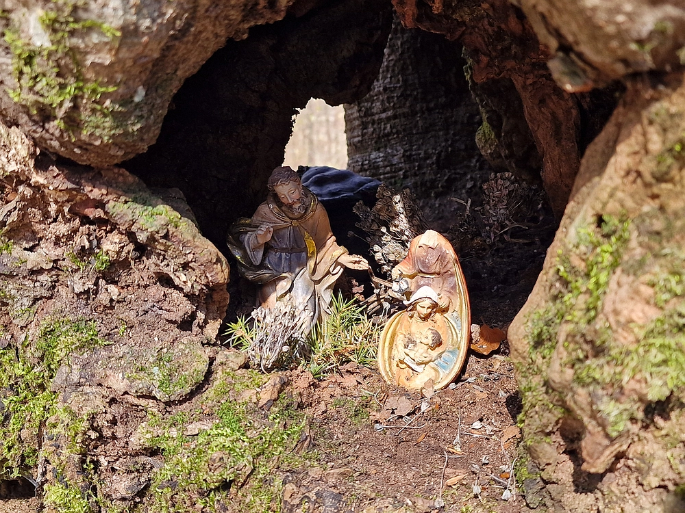 Slika je vidna v Google Chromu.