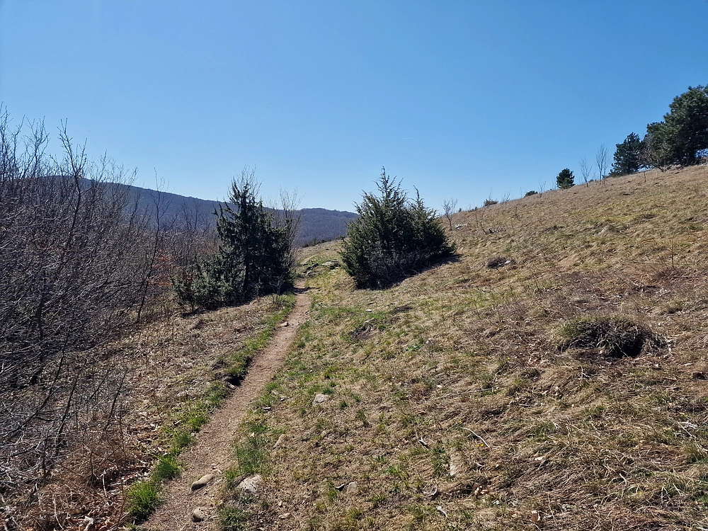 Slika je vidna v Google Chromu.