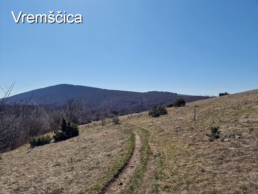 Slika je vidna v Google Chromu.